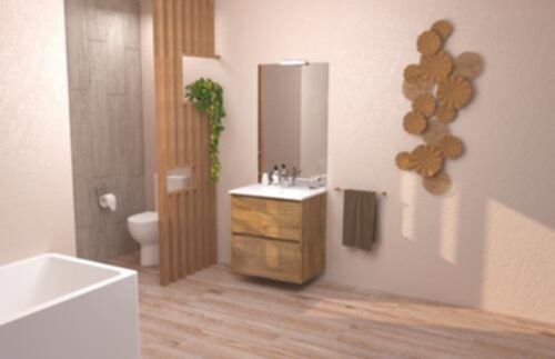 Meuble Salle de Bain Belis à Suspendre Miroir Affleurant 80cm Bois