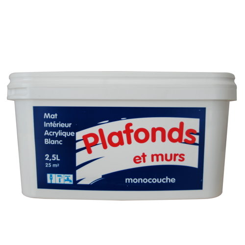 Peinture murs et plafonds monocouche mat 2,5 L