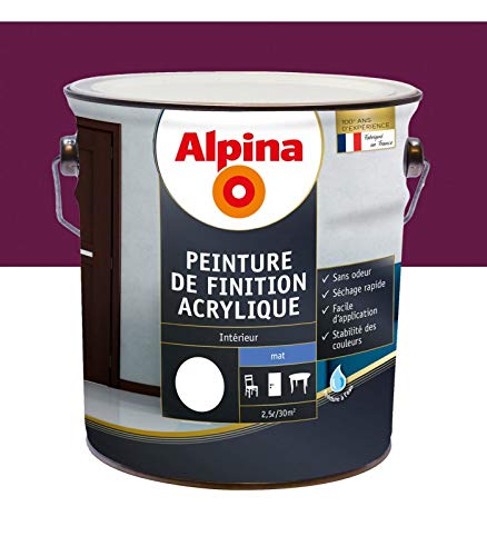 Peinture acrylique mat 2,5 L Aubergine