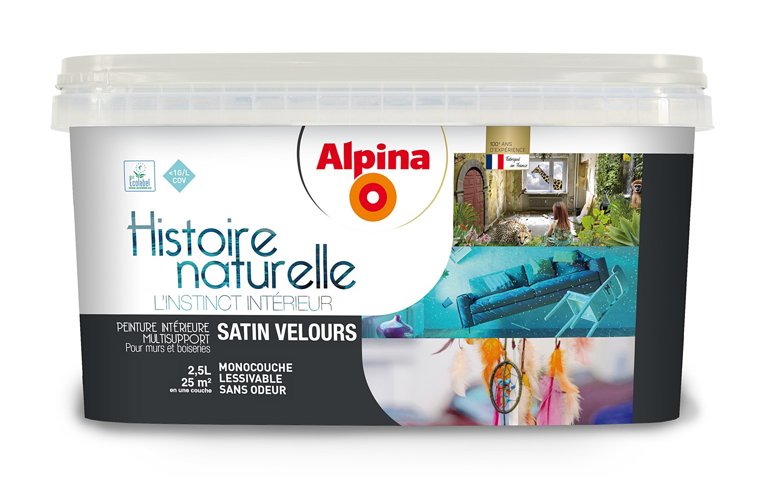 Peinture Histoire naturelle Orque 2,5L