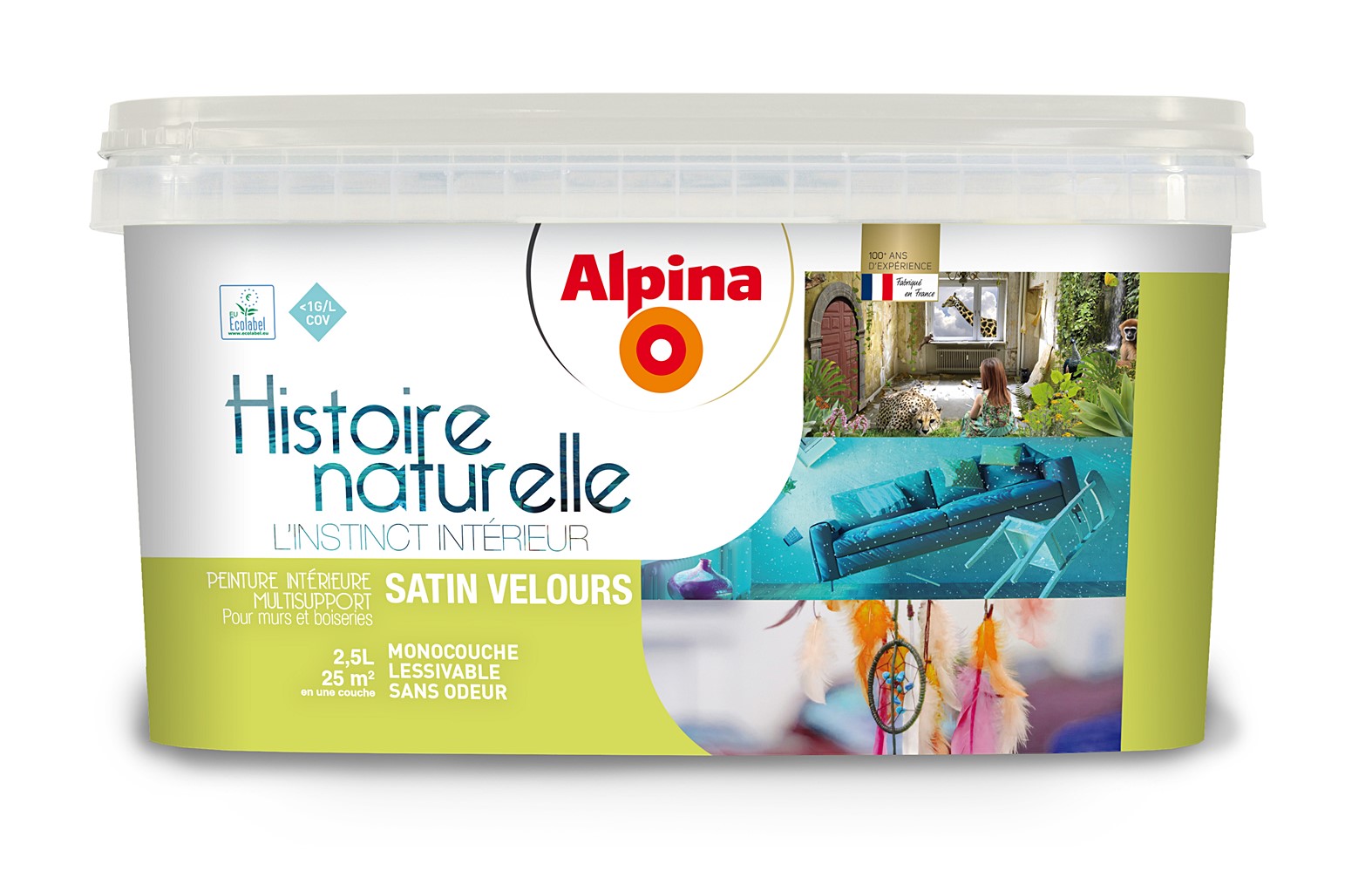 Peinture Histoire naturelle Paruline 2,5L