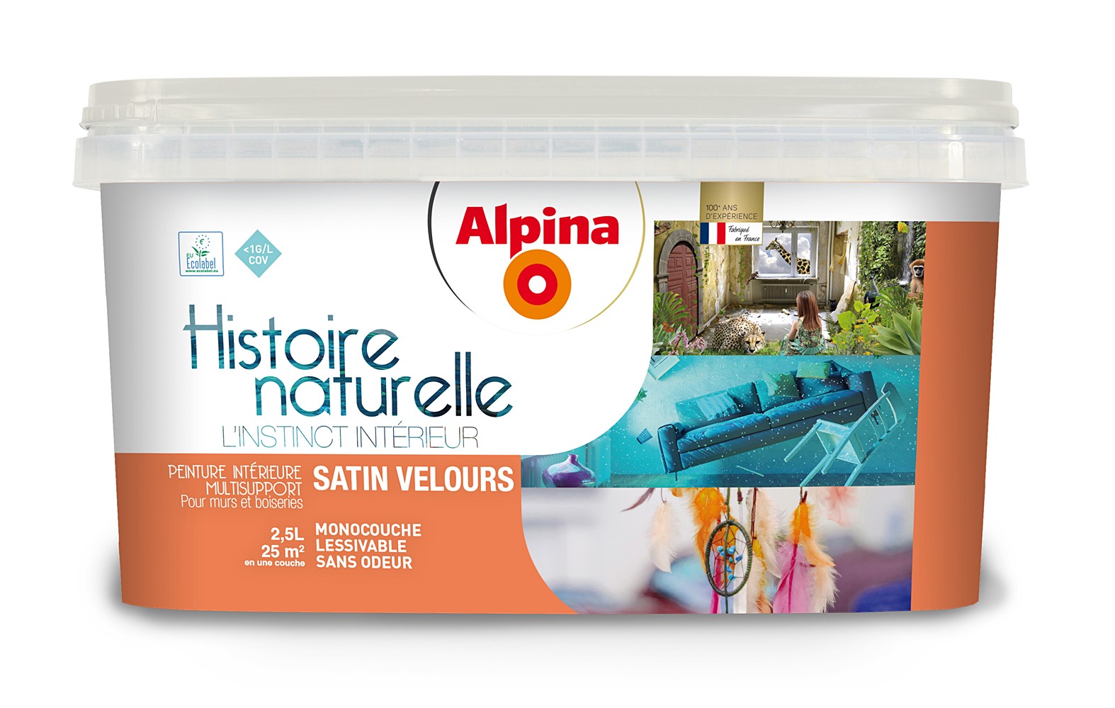 Peinture Histoire naturelle Ibis 2,5L