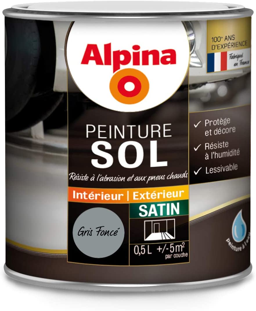 Peinture sol intérieur/extérieur 0,5L gris foncé satin ALPINA