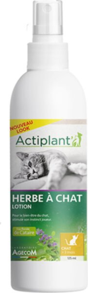 Herbe à Chat 125ml - ACTIPLANT'