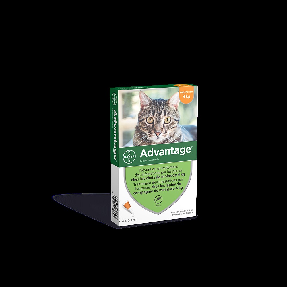 Advantage 40 chat/lap (0-4kg) x4