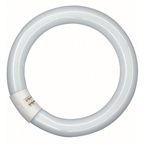 Tube fluorescent Circline G10q 32W active blanc froid