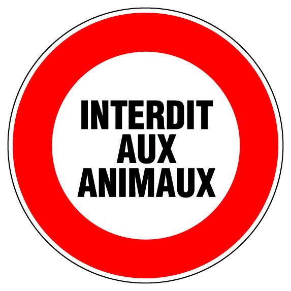 disque diamètre 80 mm  rigide  interdit aux animaux - NOVAP