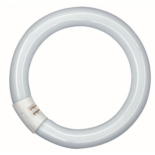 Tube fluorescent Circline G10q 40W active blanc froid