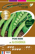 POIS NAIN ALEXANDRA  (250 GRS)