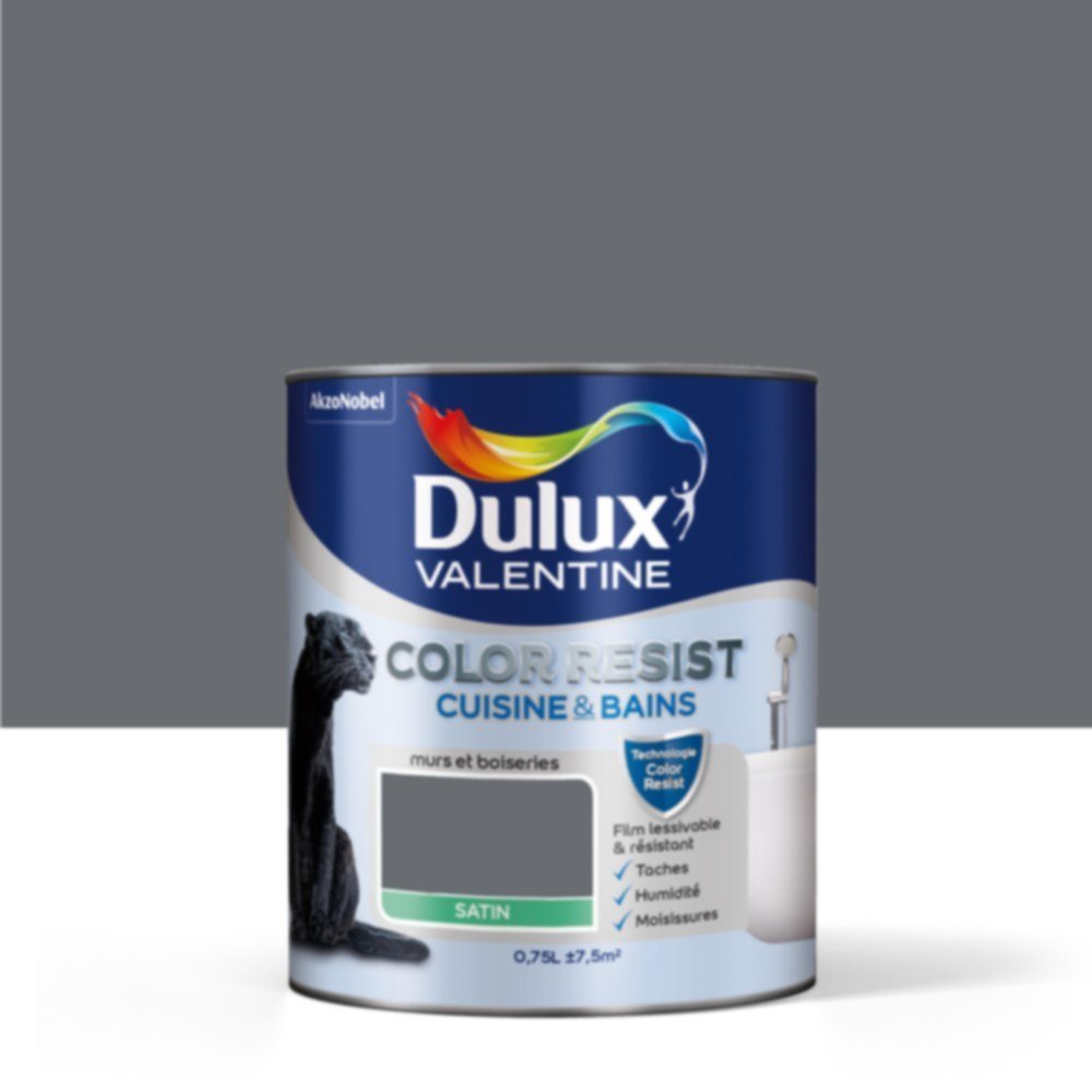 Peinture Pièces humides Color Resist Cuisine & Bains Anthracite Satin 0,75L - DULUX VALENTINE