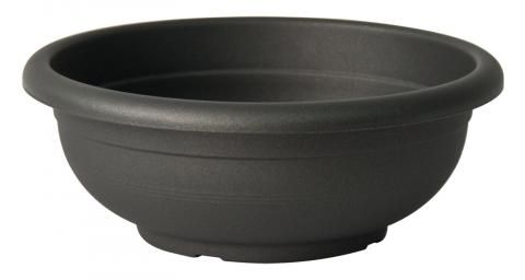 Coupe Olimpo anthracite 40 cm