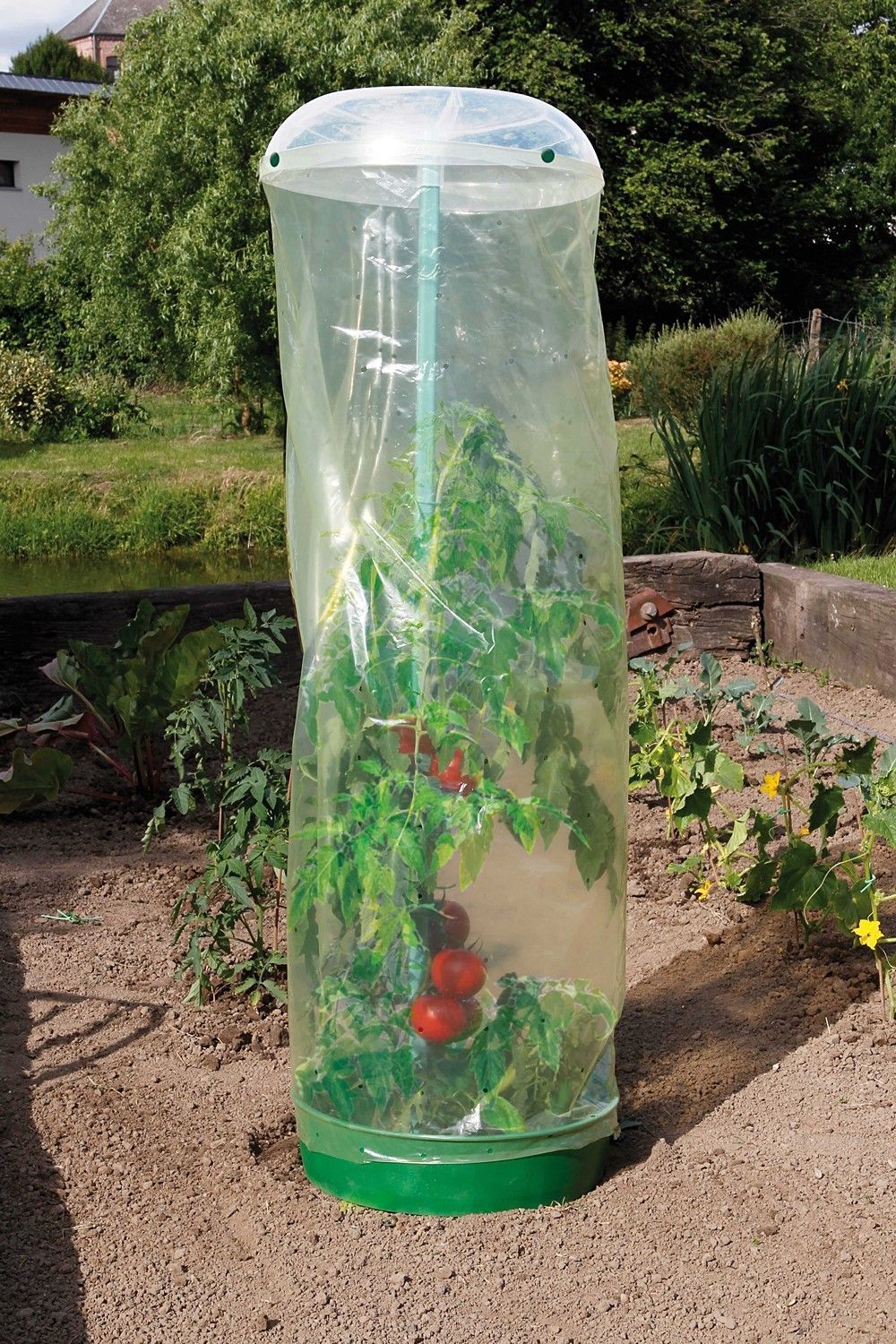 TOMATO CUP  Coupole d'arrosage et de protection transparent Diam 40 cm x Ht 10 cm 