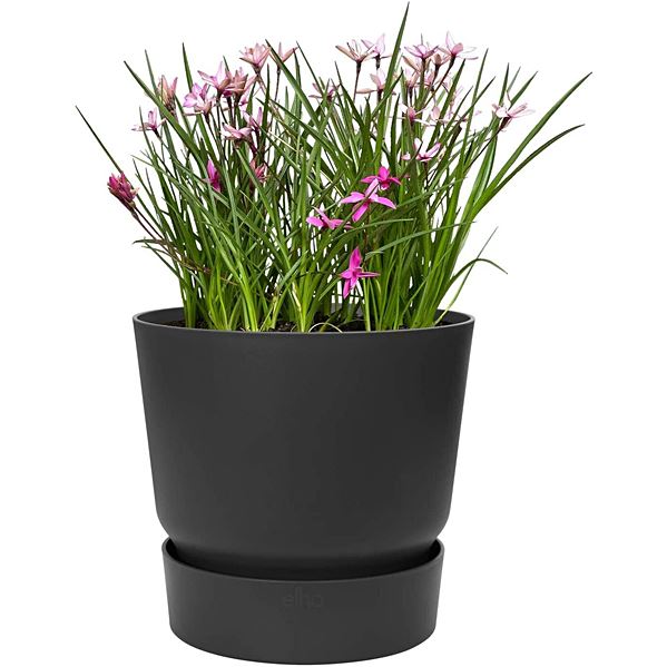 Pot Greenville rond 25cm living noir