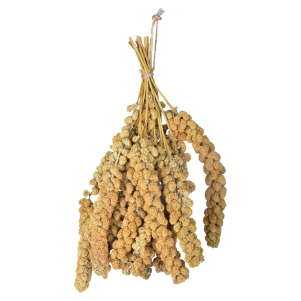 Millet en grappe 400 g