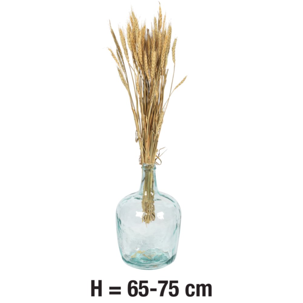 Orge Naturel H.65-75cm