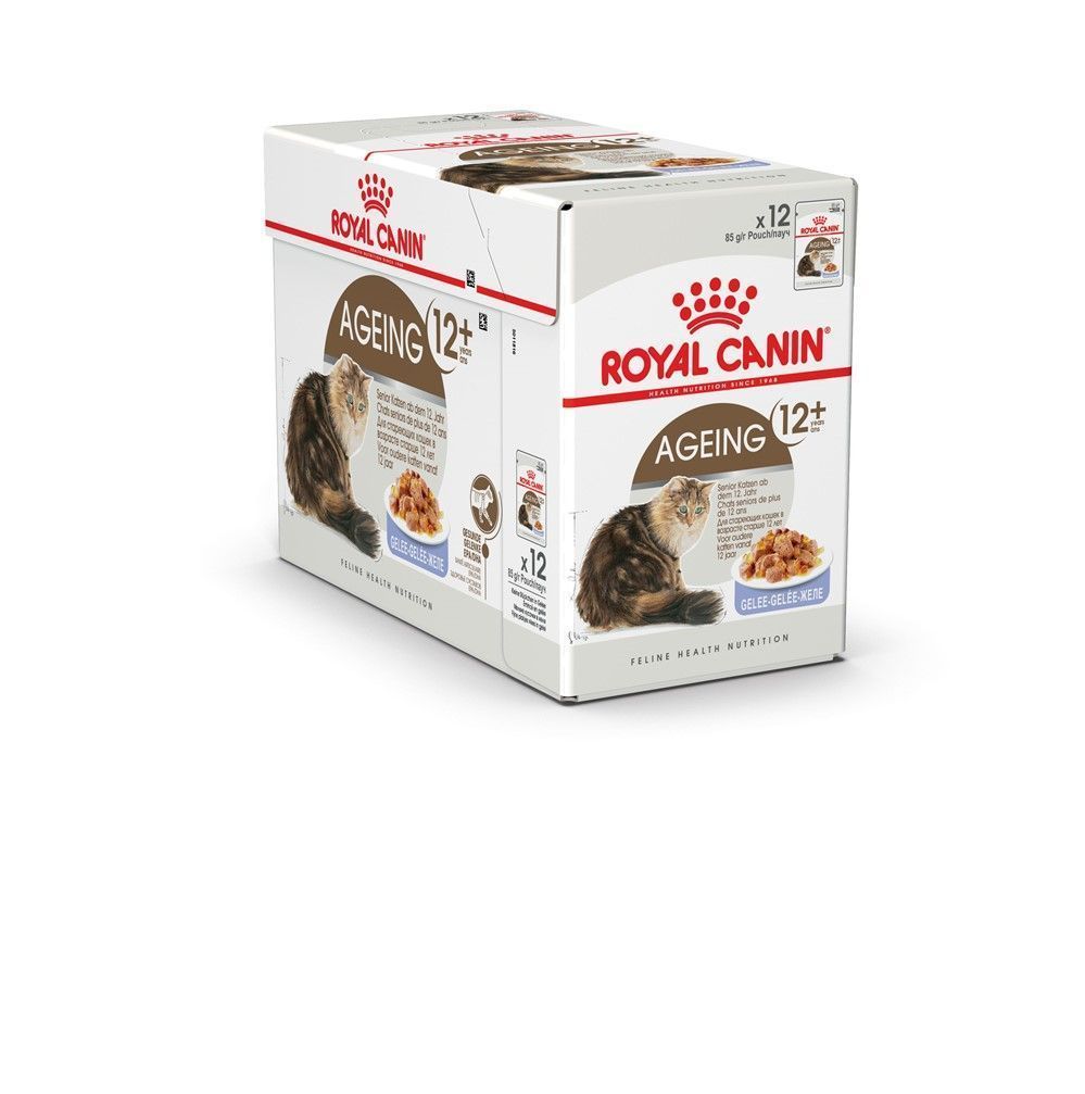 Pâtées Chat Ageing 12+ Gelee 12x85gr - ROYAL CANIN