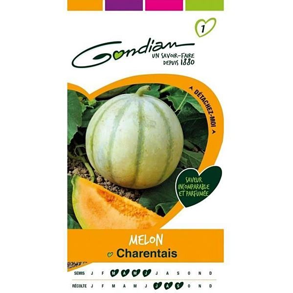 Graines Melon Charentais - GONDIAN
