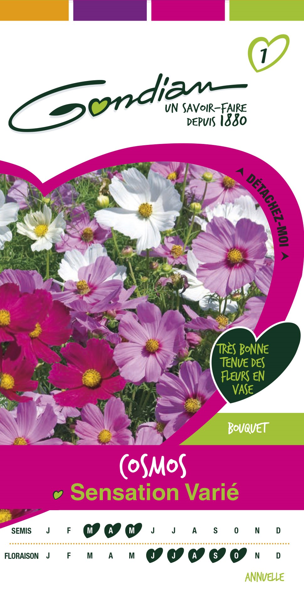 Graines Cosmos Sensation Varié - GONDIAN