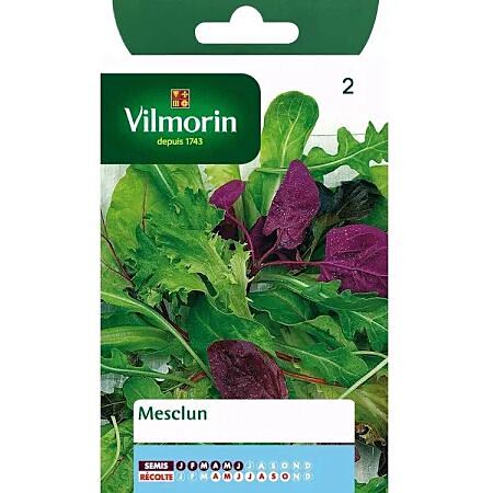 Graines Mesclun - VILMORIN