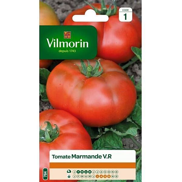 Graines Tomate Marmande V.R - VILMORIN