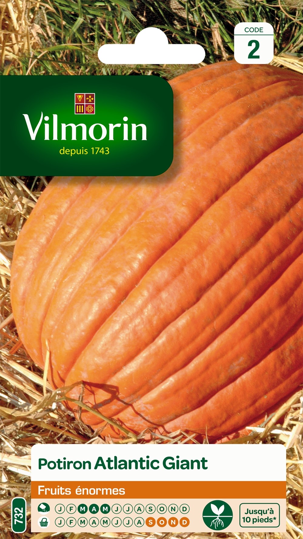 Graines Potiron Atlantic Giant - VILMORIN