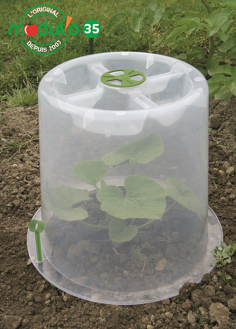 Sachet de 10 piquets pour ancrage au sol cloches potagères Modul'o 35