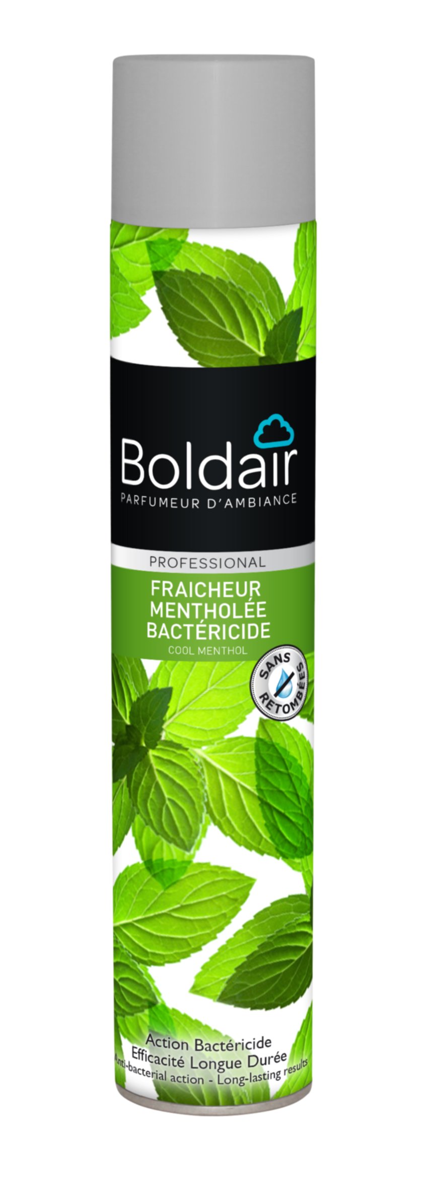 Désodorisant Parfumant Fraîcheur Mentholée Bactéricide 500ml - BOLDAIR