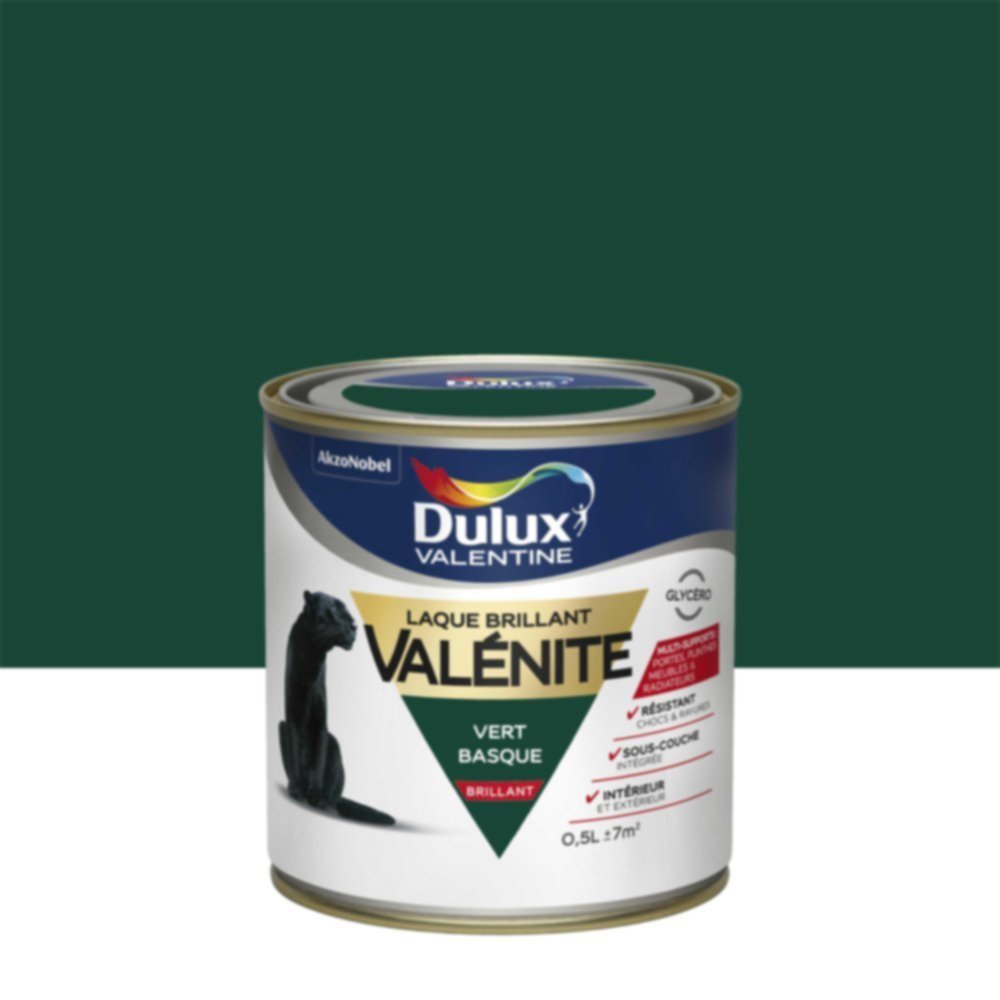 Peinture Laque Boiseries et Ferronnerie Valénite Vert Basque Brillant 0,5L - DULUX VALENTINE