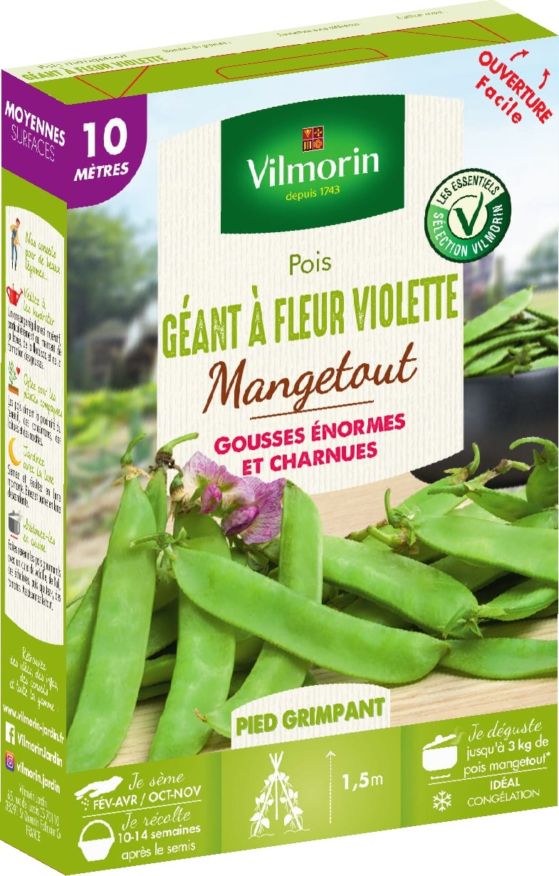 Graines Pois Mangetout Géant à Fleur Violette 10m - VILMORIN