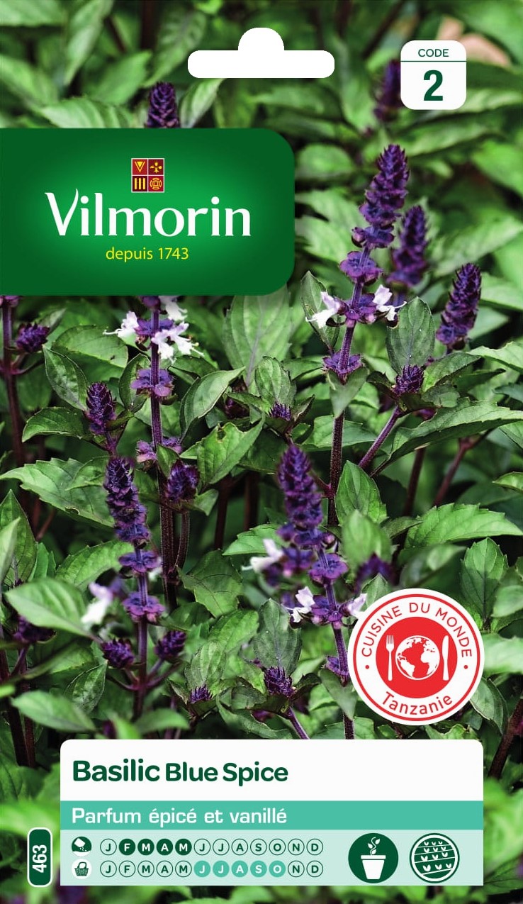 Graines Basilic Blue Spice - VILMORIN