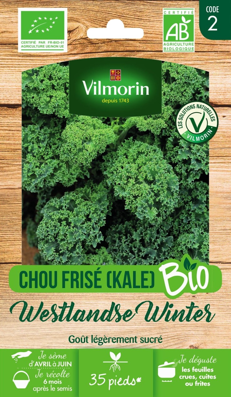 Graines Chou Frisé Westlandse Winter Bio - VILMORIN