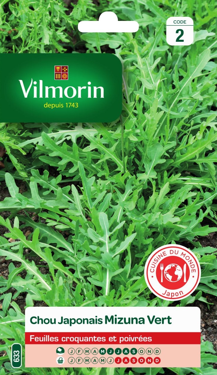 Graines Chou Japonais Mizuna Vert - VILMORIN