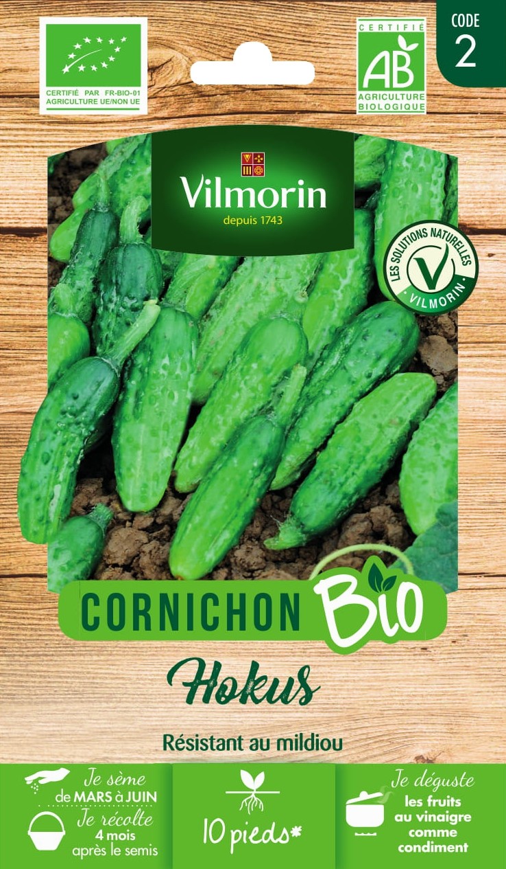 Graines Cornichon Hokus HF1 Bio - VILMORIN