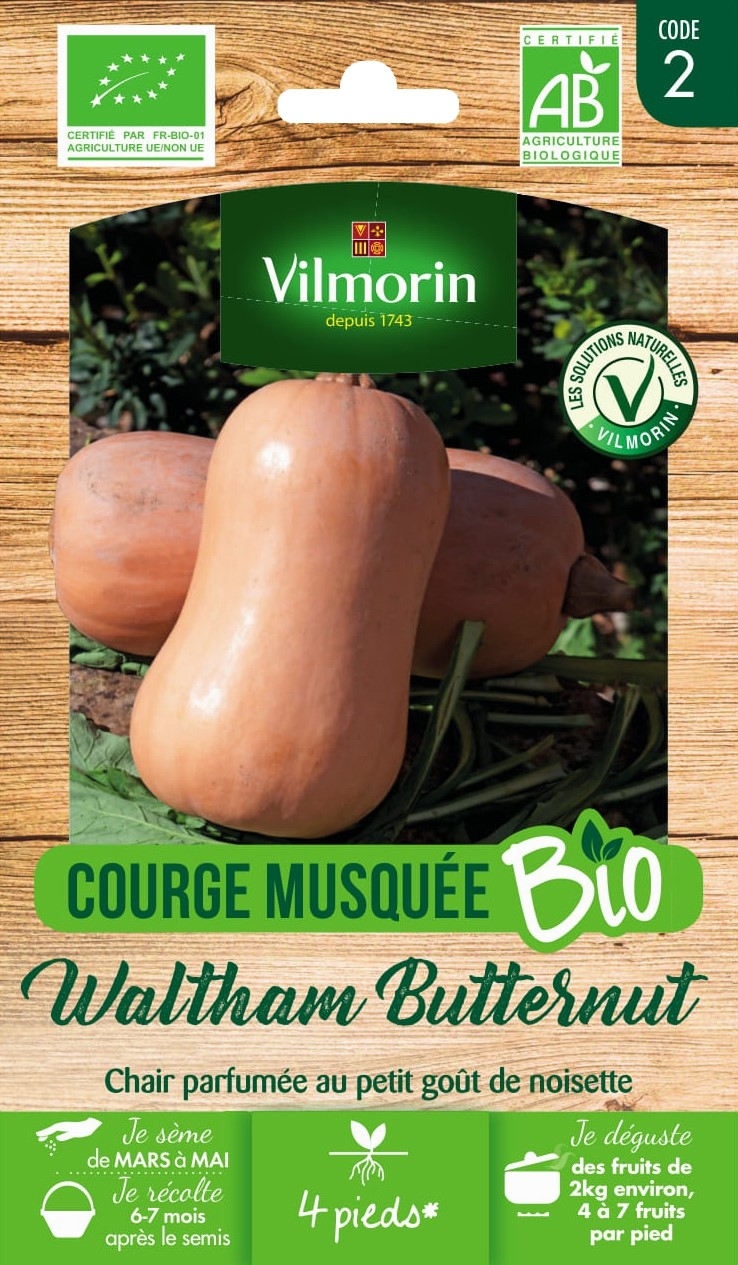 Graines Courge Musquée Waltham Butternut Bio - VILMORIN