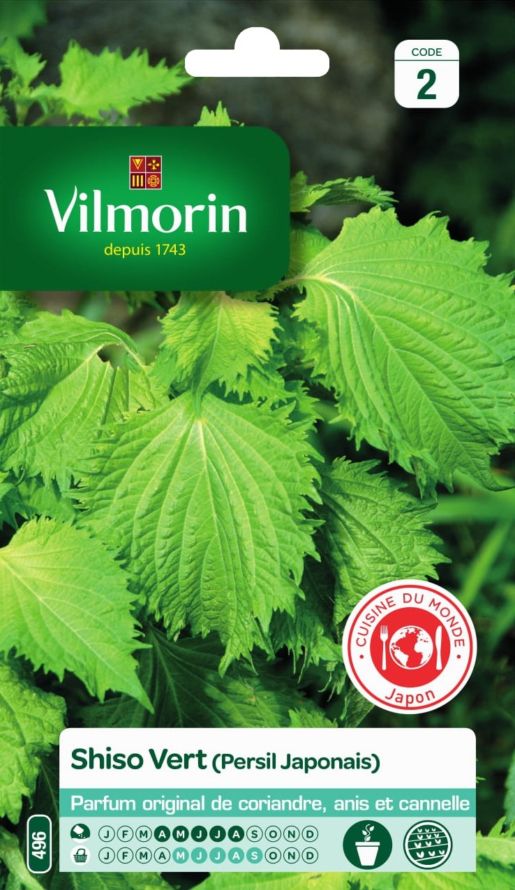 Graines Shiso Vert - VILMORIN