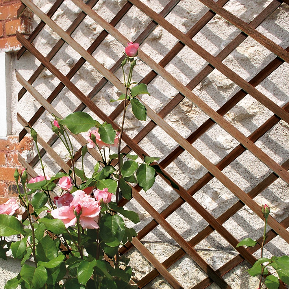 Trellis extensible bois lasure marron 1x2m 