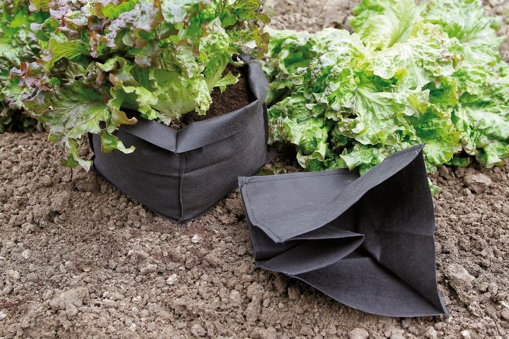 Sacs de plantation pour proteger les salades