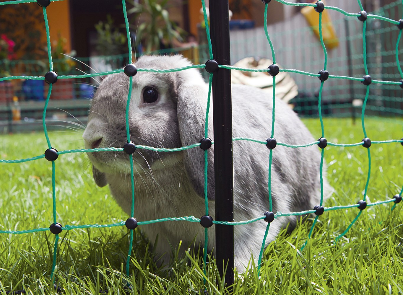 Filets pour lapins électriﬁable