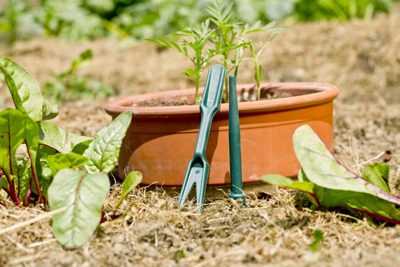 Set de repiquage (plantoir + repiqueur)