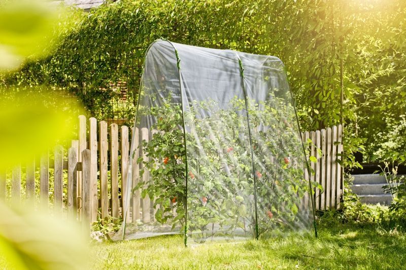 Tunnel à tomates set complet 2m