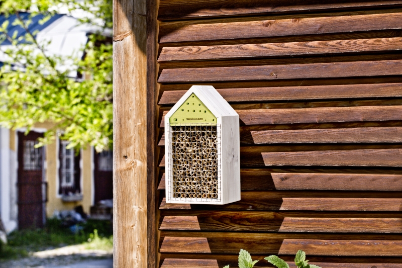 Hôtel à insectes box