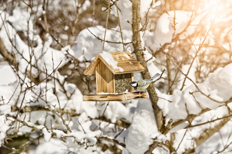 Mangeoire pour oiseaux garden