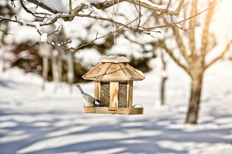 Mangeoire pour oiseaux wilder kaiser