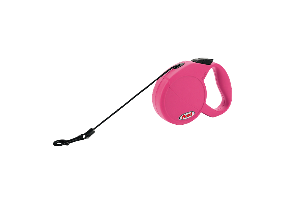 Laisse sangle Newclassic cord cat 3m rose