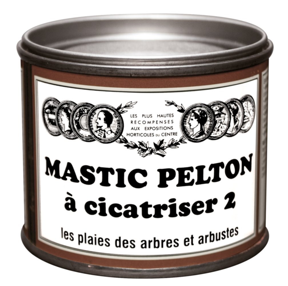 cicatrisant mastic 400g