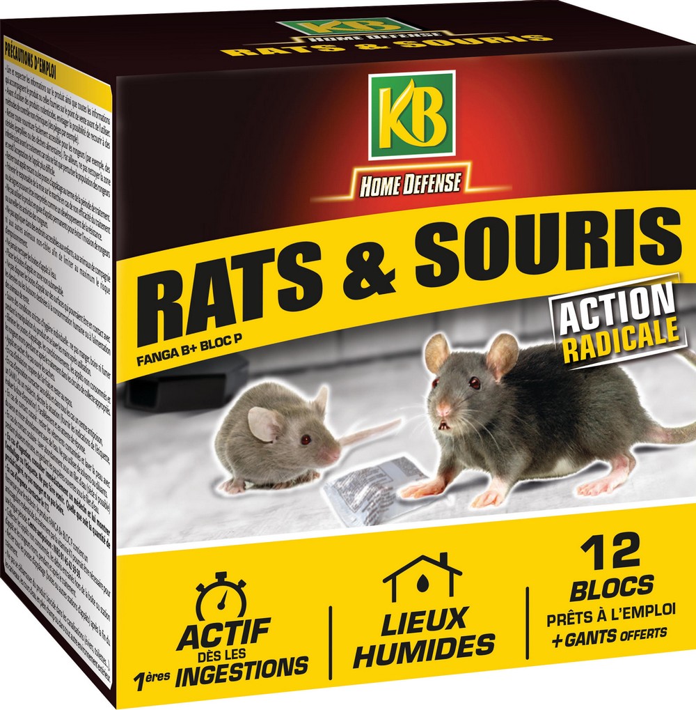 rats et souris bloc 240g